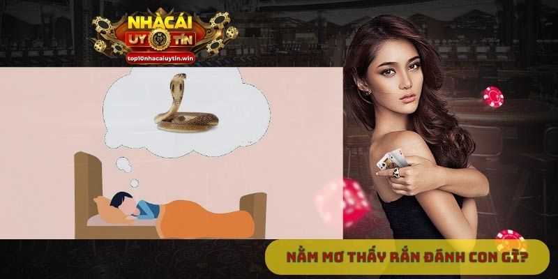 Nằm mơ thấy rắn đánh con gì